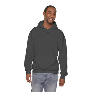 NBA - National Booty Association Hoodie