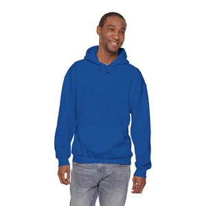 NBA - National Booty Association Hoodie