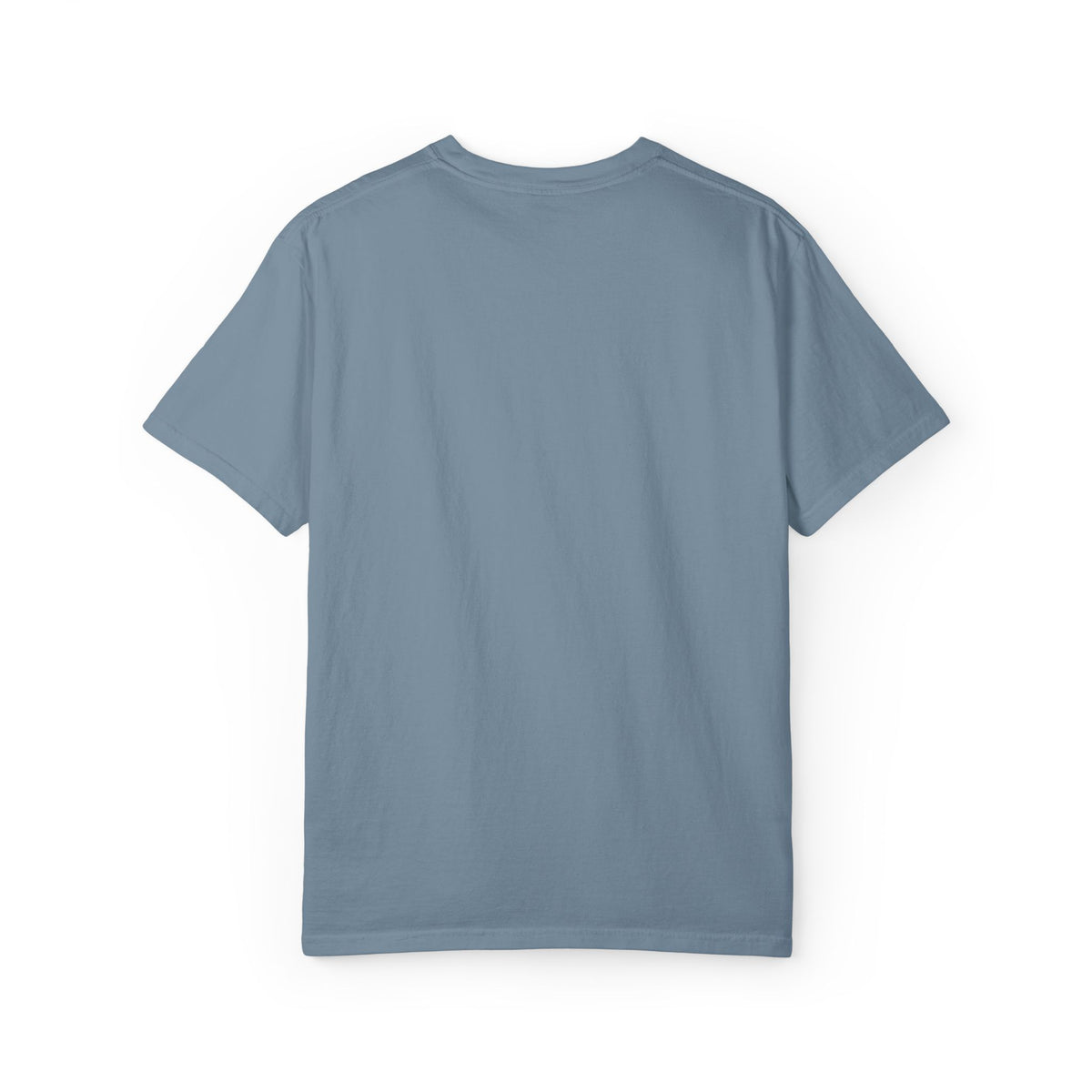 Body by GLP-1 Embroidered T-Shirt-Body by GLP-1 Embroidered T-Shirt, Ice Blue, product-only rear view